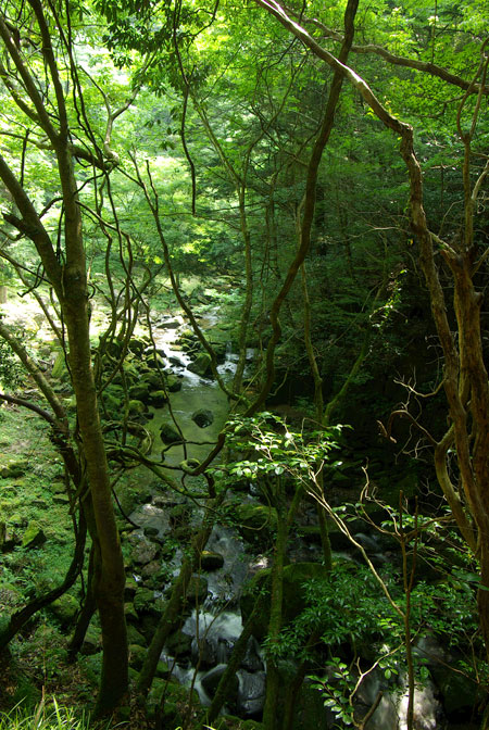 d0069495_6292271.jpg