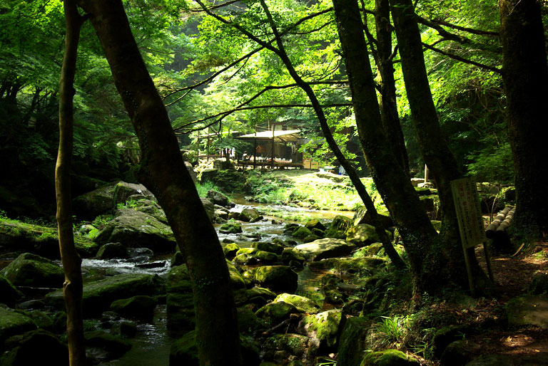 d0069495_6294183.jpg