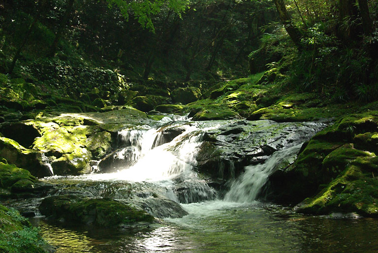 d0069495_6302646.jpg