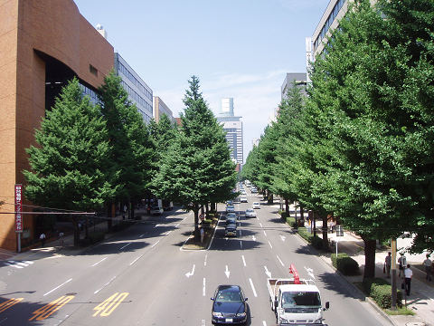 b0074601_21413124.jpg