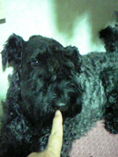 c0037701_23162443.jpg