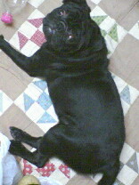 c0023406_2010267.jpg