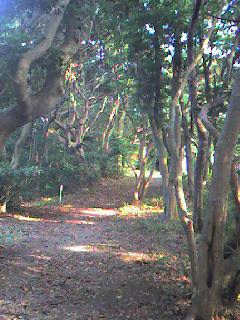 能古島紀行(2)_d0116009_23522784.jpg