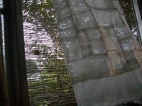 e0099309_1456467.jpg