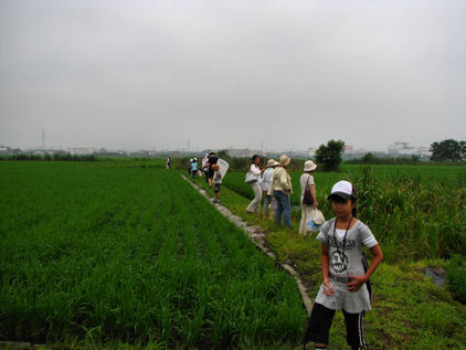 夏の田んぼの観察会3_d0032114_712028.jpg