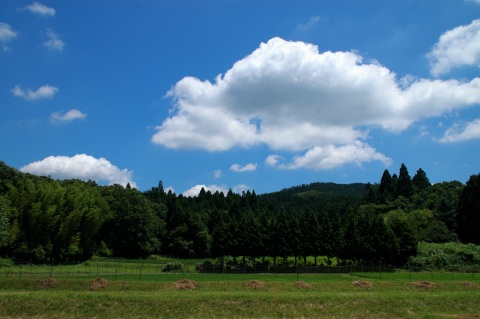 田舎の風景探し_f0032137_23294635.jpg