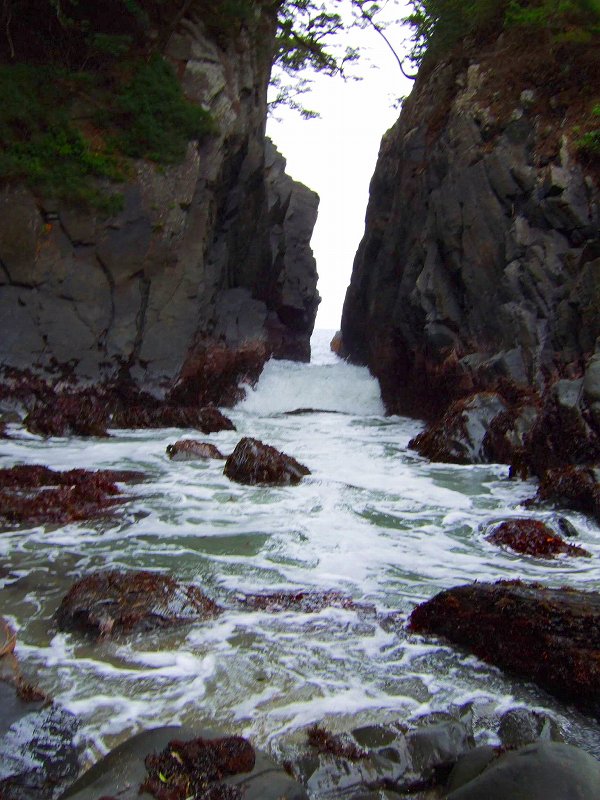 a0036649_2242878.jpg