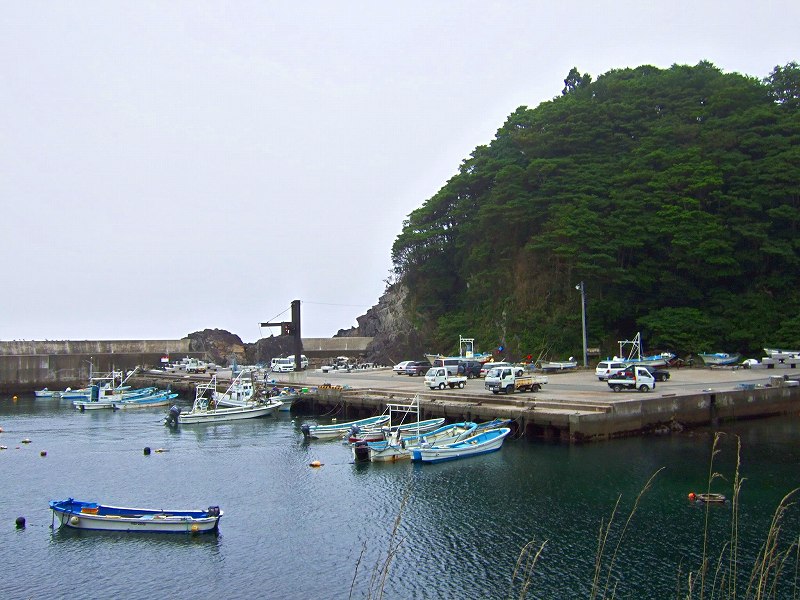 a0036649_22544058.jpg