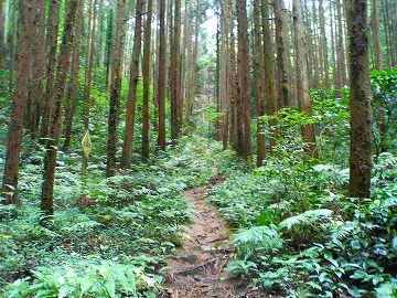 山トレ☆強化月間(1)_e0037849_20115026.jpg