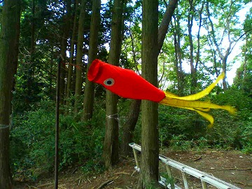 山トレ☆強化月間(1)_e0037849_20205011.jpg