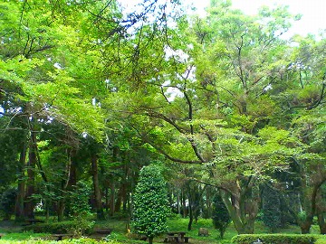 山トレ☆強化月間(1)_e0037849_208057.jpg