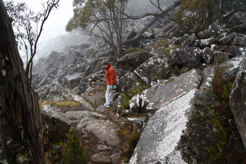 f0137354_20112013.jpg