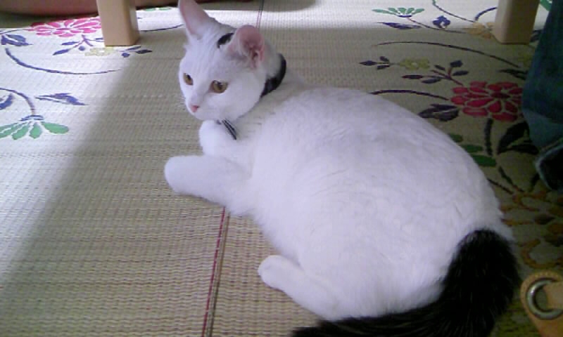 f0080756_10565036.jpg