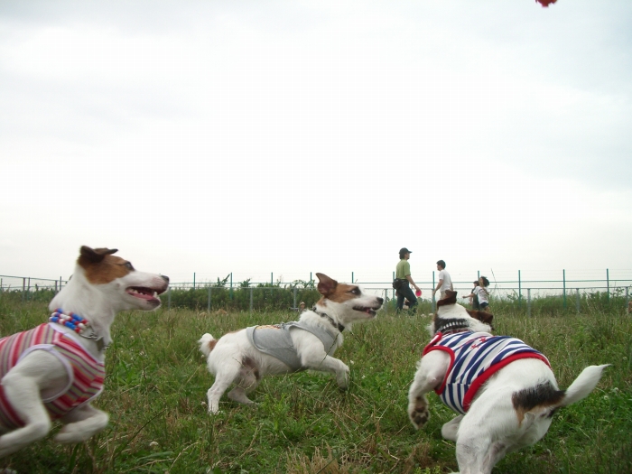 c0123759_0131627.jpg
