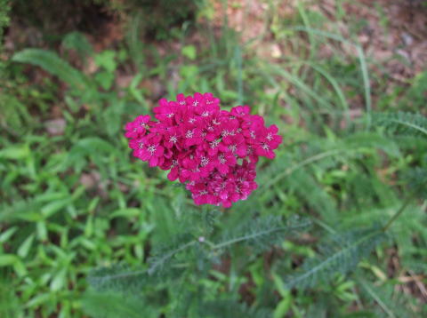e0088260_23132066.jpg
