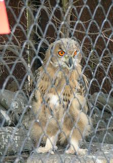 楽しい旭山動物園　その１_f0139963_653380.jpg