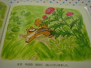 ひみつのぽっけ_c0100865_635777.jpg