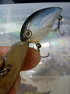 ショック！_a0040876_21465516.jpg