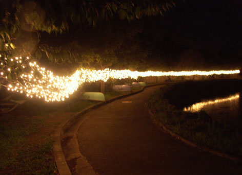 f0095878_2051474.jpg