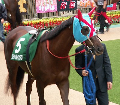 【期限切れ単勝馬券】第64回オークス　スティルインラブ　2003/5/25 2003年 オークス（GⅠ） | スティルインラブ | JRA公式 - YouTube