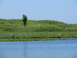 北海道へ行ってきました！　（前編）_b0109692_10453081.jpg