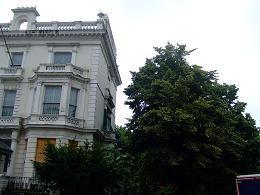 d0030693_11384412.jpg