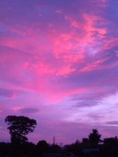 e0016095_0154752.jpg