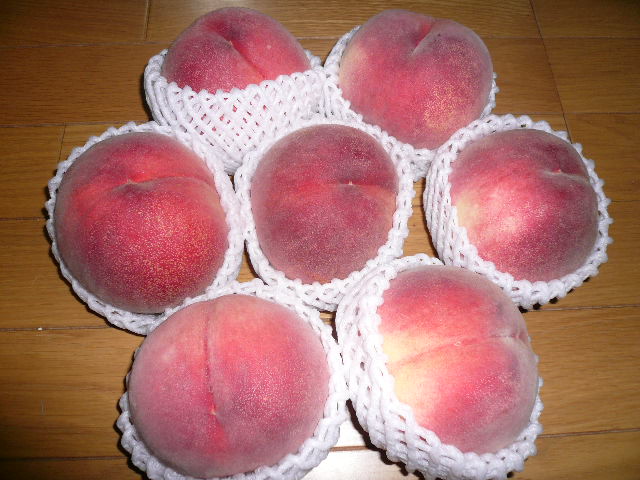 e0028401_051467.jpg