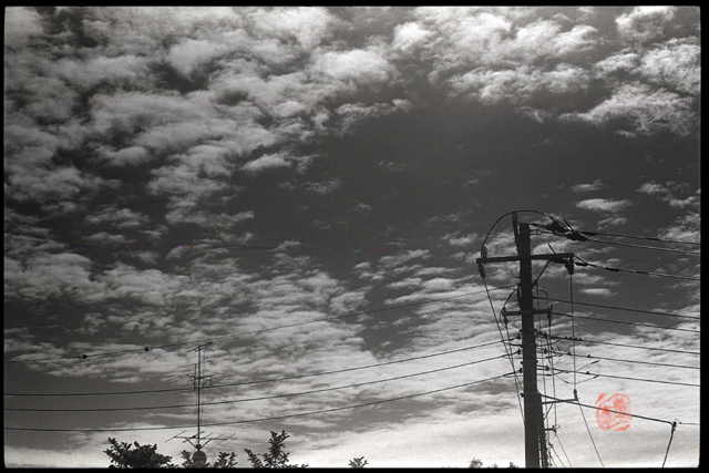 d0039803_105133100.jpg