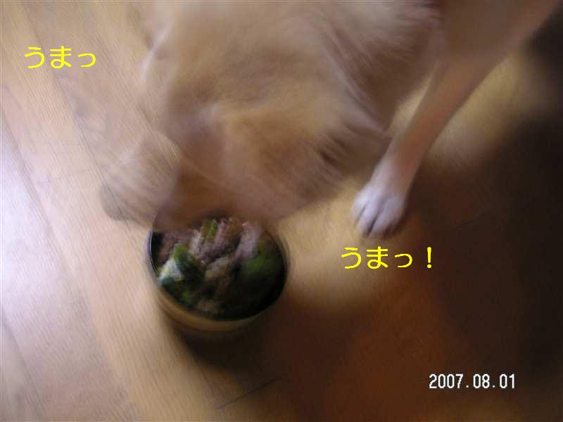 d0046821_10171486.jpg