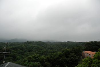 e0103024_18485055.jpg