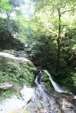 b0025850_16504495.jpg