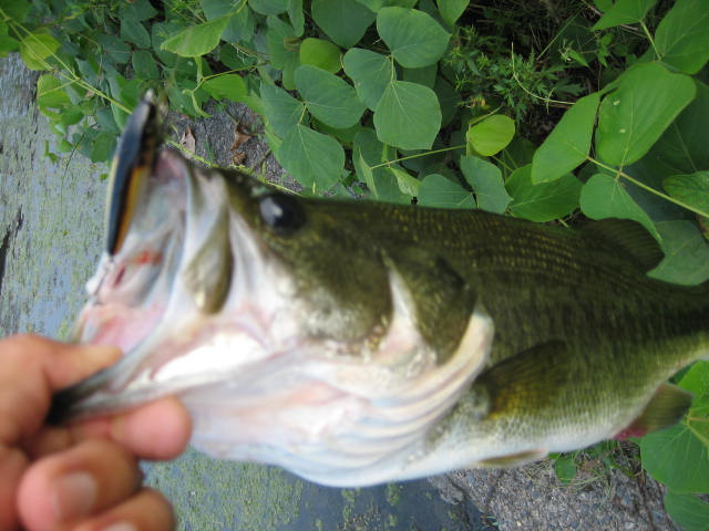 c0127358_2029218.jpg