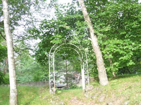 e0088260_6422096.jpg