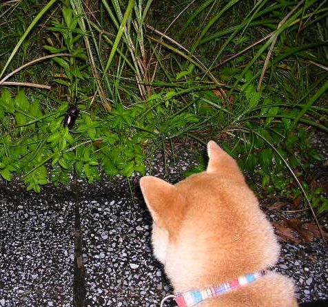2007年8月3日(金)・・・失われた2時間_f0060461_1463614.jpg