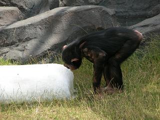 f0139963_6383291.jpg