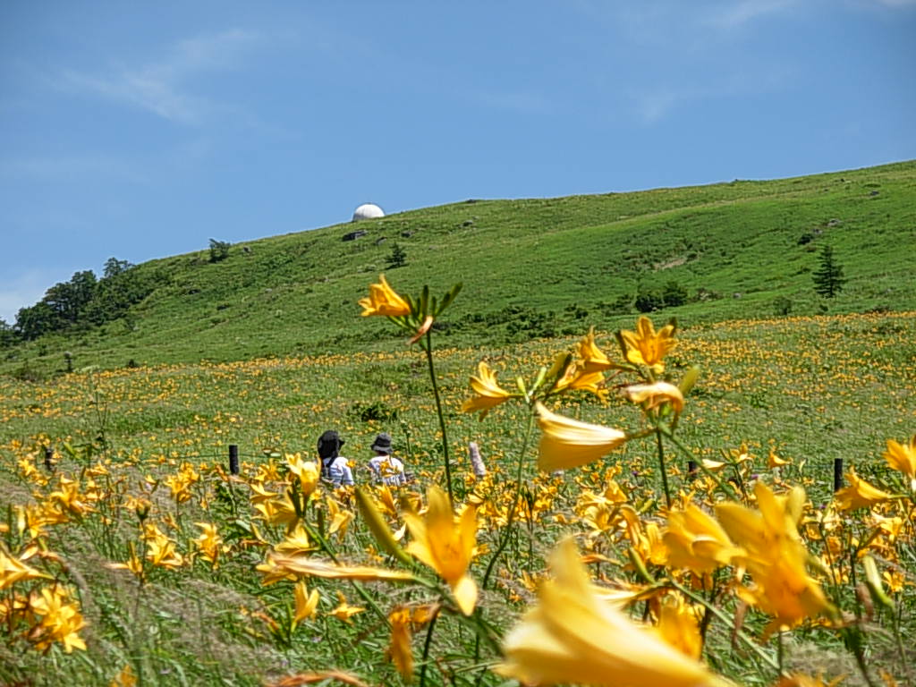 再び、霧が峰え。_d0048366_935670.jpg