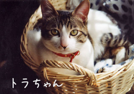 b0001286_13582624.jpg