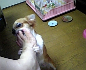 c0095091_1244772.jpg