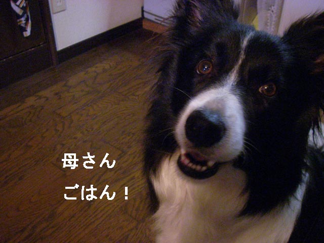 f0114893_13503655.jpg