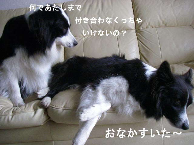 f0114893_13593472.jpg