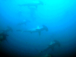 c0097095_17325045.jpg
