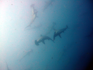 c0097095_17355380.jpg