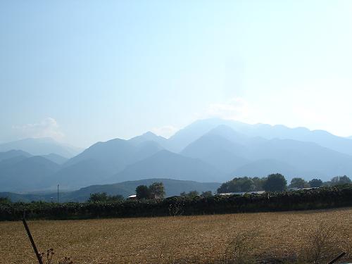 c0010496_7493529.jpg