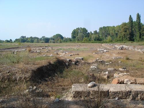 c0010496_8355014.jpg