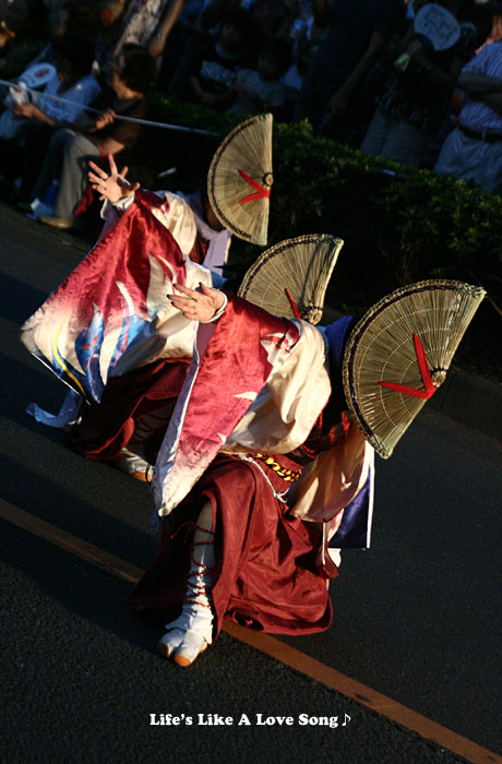 よさこい -彩華祭-_e0108605_2149521.jpg