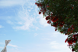 b0117406_14291280.jpg
