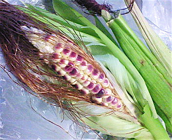 e0001406_23620100.jpg