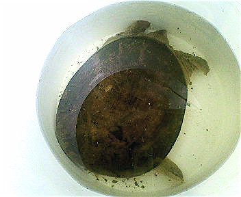 e0001406_236749.jpg