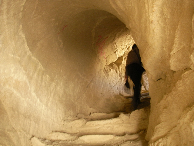 f0060811_15161115.jpg